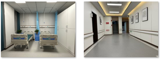 Rigid Sheet Wall Protection