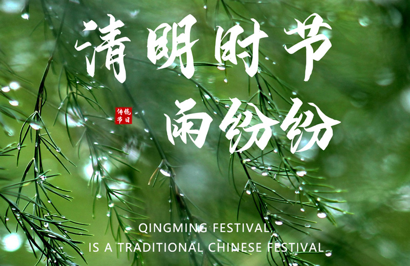 مهرجان qingming هو مهرجان صيني تقليدي
